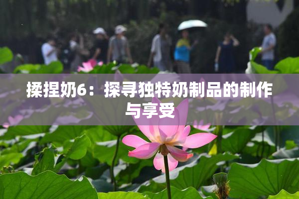 揉捏奶6：探寻独特奶制品的制作与享受