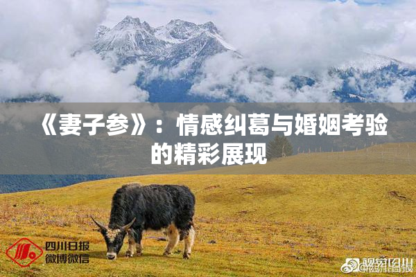 《妻子参》：情感纠葛与婚姻考验的精彩展现