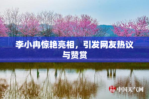 李小冉惊艳亮相，引发网友热议与赞赏
