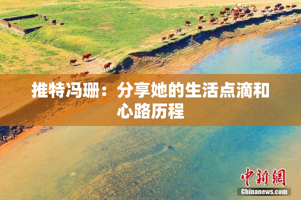 推特冯珊：分享她的生活点滴和心路历程