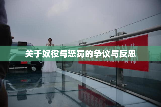 关于奴役与惩罚的争议与反思