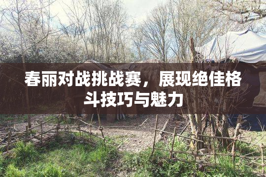 春丽对战挑战赛，展现绝佳格斗技巧与魅力