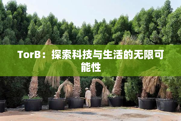 TorB：探索科技与生活的无限可能性