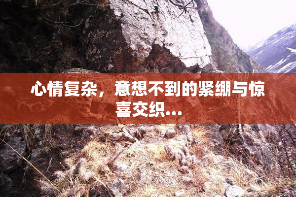 心情复杂，意想不到的紧绷与惊喜交织…