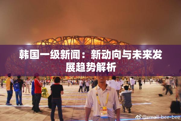 韩国一级新闻：新动向与未来发展趋势解析
