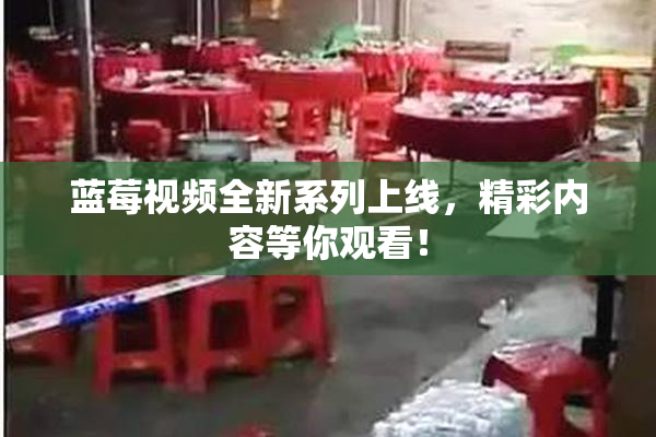 蓝莓视频全新系列上线，精彩内容等你观看！