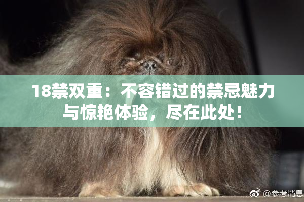18禁双重：不容错过的禁忌魅力与惊艳体验，尽在此处！