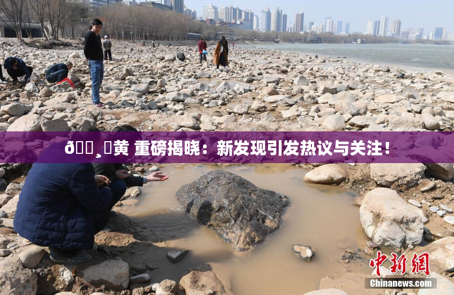 🌸‌黄 重磅揭晓：新发现引发热议与关注！