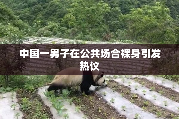 中国一男子在公共场合裸身引发热议