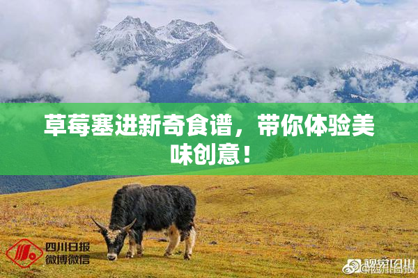 草莓塞进新奇食谱，带你体验美味创意！