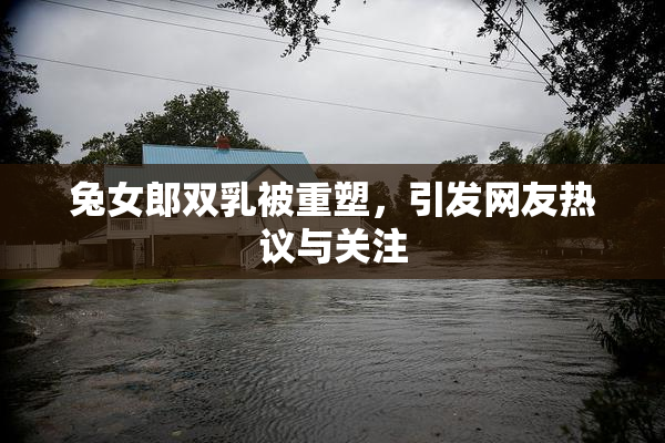 兔女郎双乳被重塑，引发网友热议与关注
