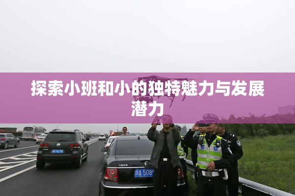 探索小班和小的独特魅力与发展潜力
