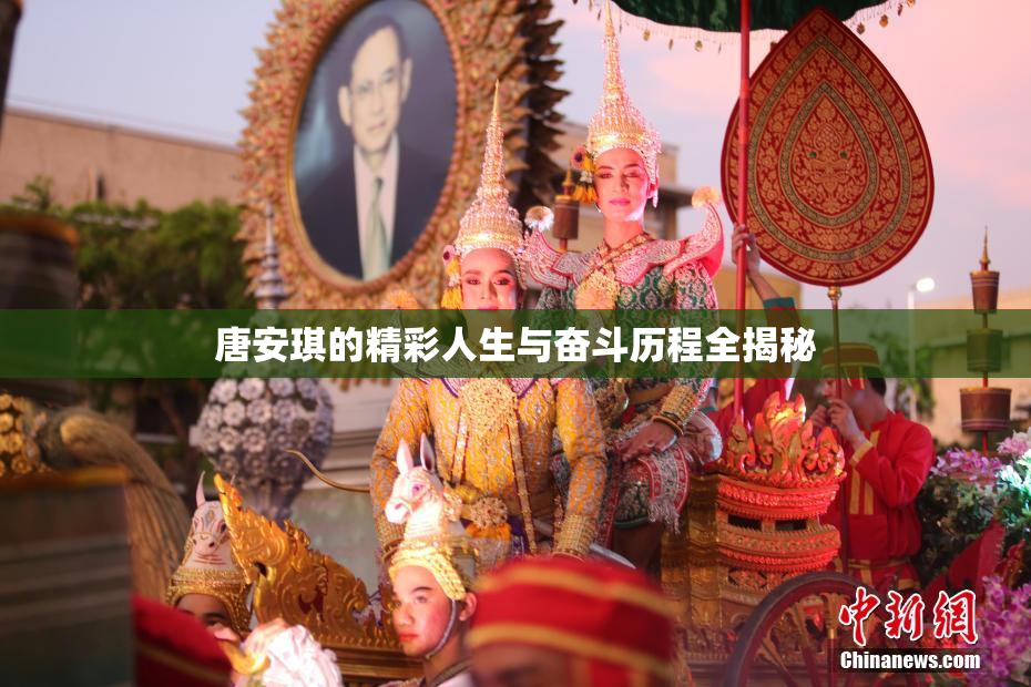 唐安琪的精彩人生与奋斗历程全揭秘