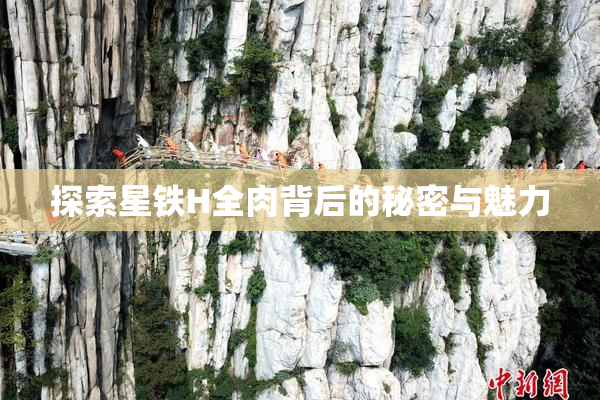 探索星铁H全肉背后的秘密与魅力
