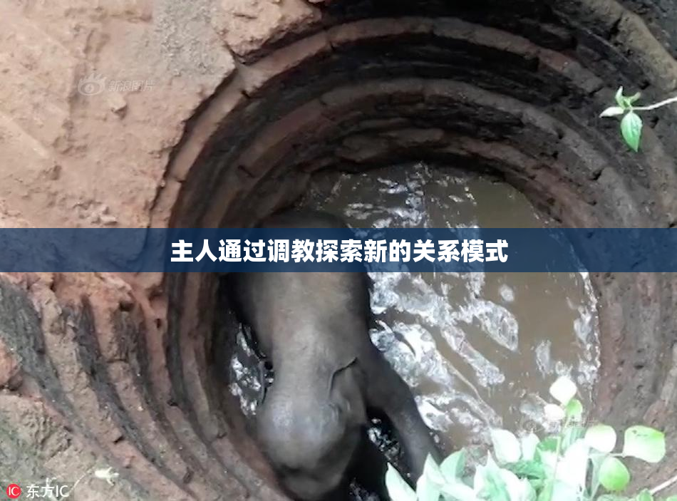 主人通过调教探索新的关系模式