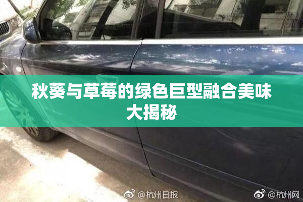 秋葵与草莓的绿色巨型融合美味大揭秘