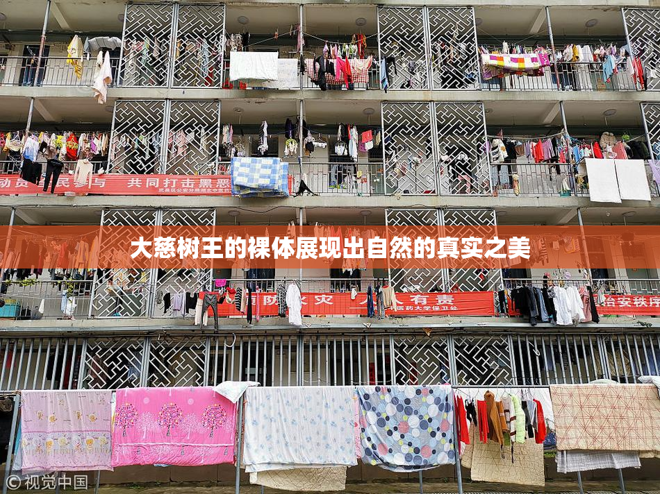大慈树王的裸体展现出自然的真实之美