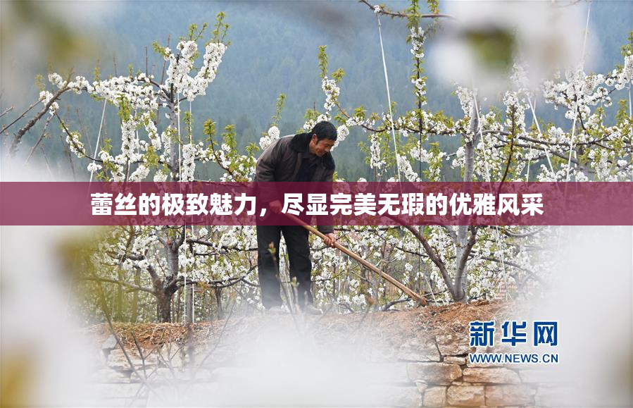 蕾丝的极致魅力，尽显完美无瑕的优雅风采