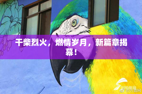 干柴烈火，燃情岁月，新篇章揭幕！