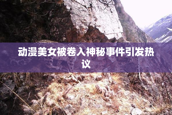 动漫美女被卷入神秘事件引发热议