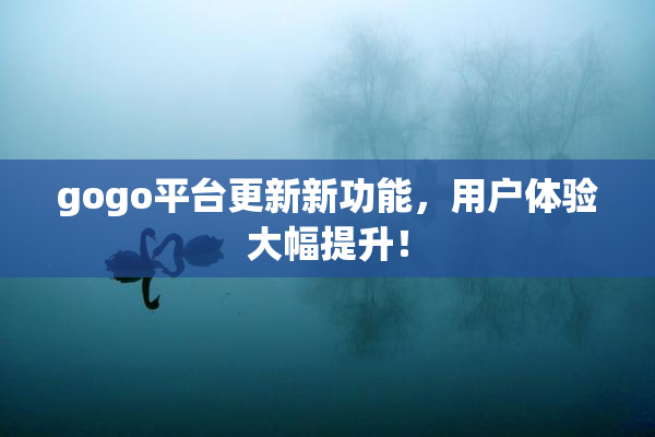 gogo平台更新新功能，用户体验大幅提升！