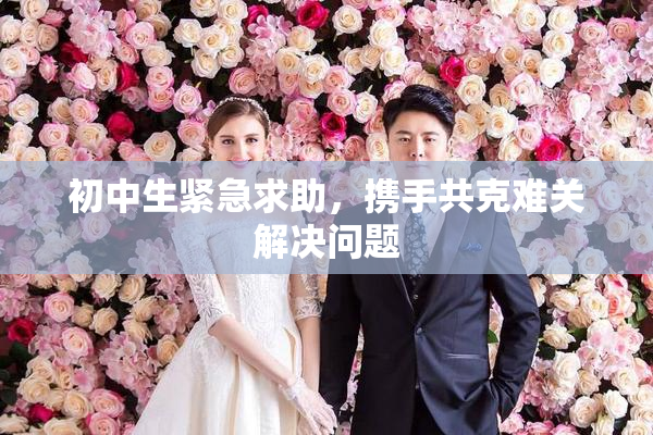 初中生紧急求助，携手共克难关解决问题
