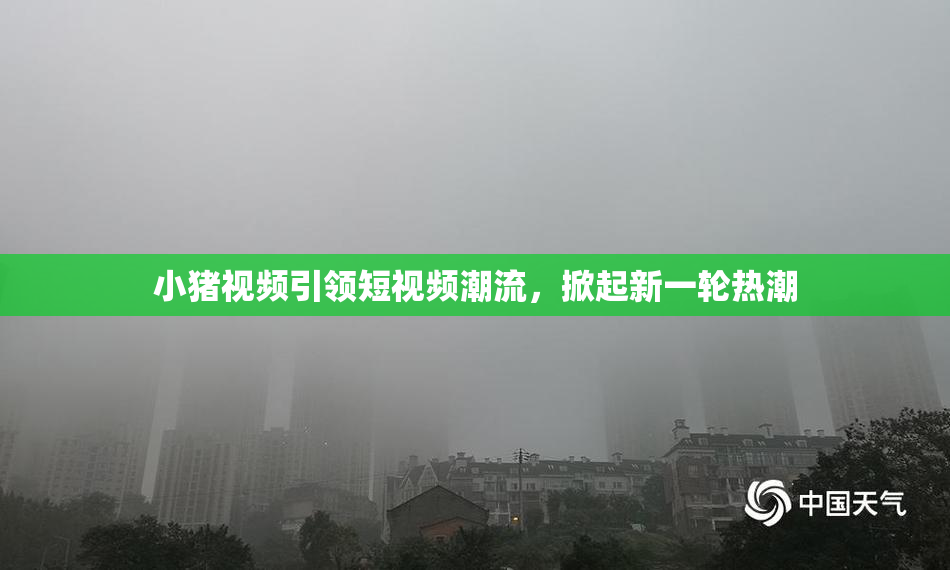 小猪视频引领短视频潮流，掀起新一轮热潮