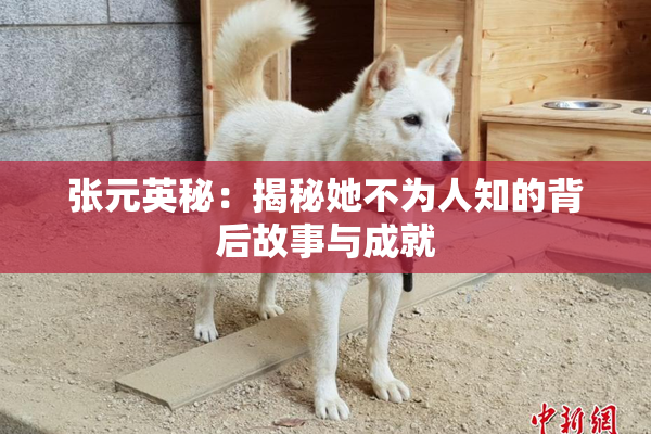 张元英秘：揭秘她不为人知的背后故事与成就