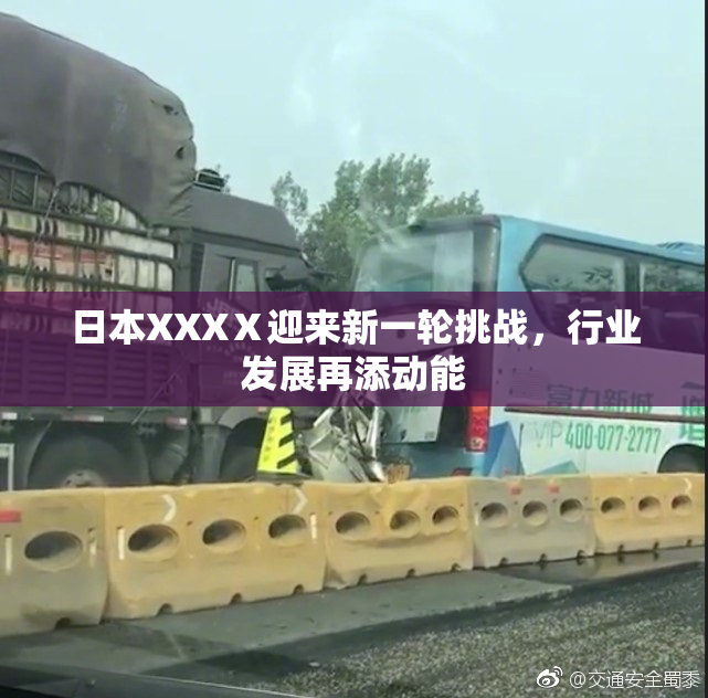 日本XXXⅩ迎来新一轮挑战，行业发展再添动能