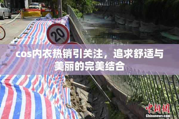 cos内衣热销引关注，追求舒适与美丽的完美结合