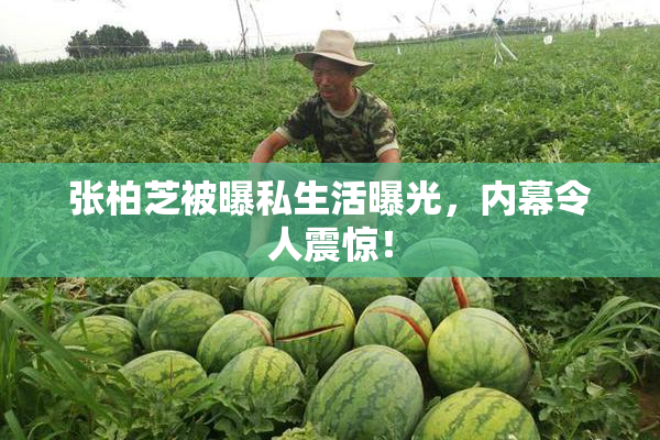 张柏芝被曝私生活曝光，内幕令人震惊！