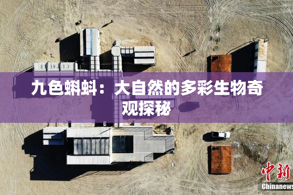 九色蝌蚪：大自然的多彩生物奇观探秘