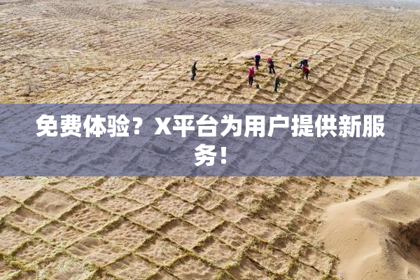 免费体验？X平台为用户提供新服务！