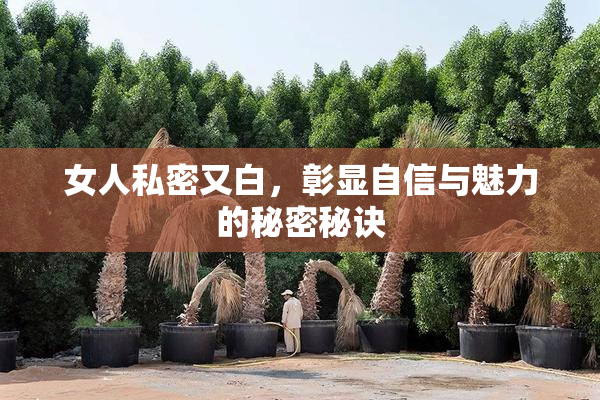 女人私密又白，彰显自信与魅力的秘密秘诀