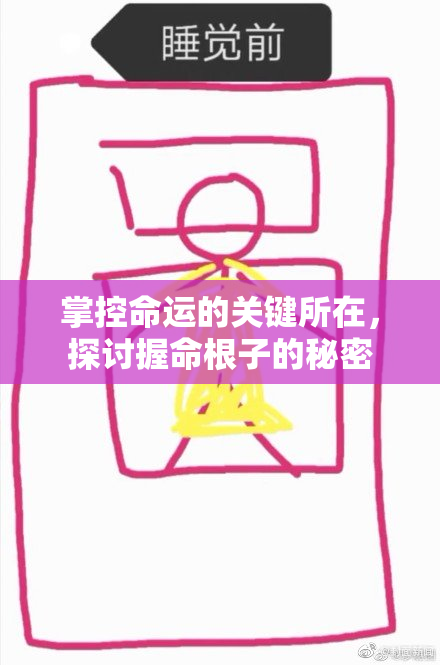 掌控命运的关键所在，探讨握命根子的秘密