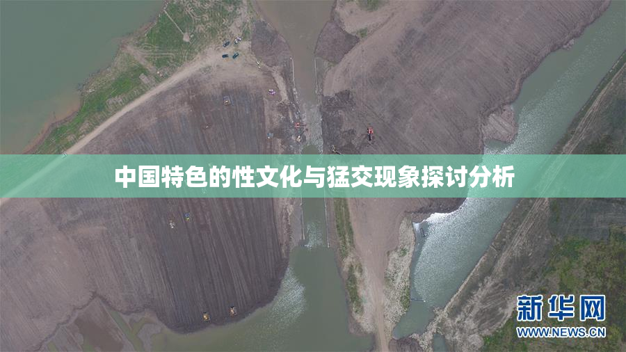 中国特色的性文化与猛交现象探讨分析