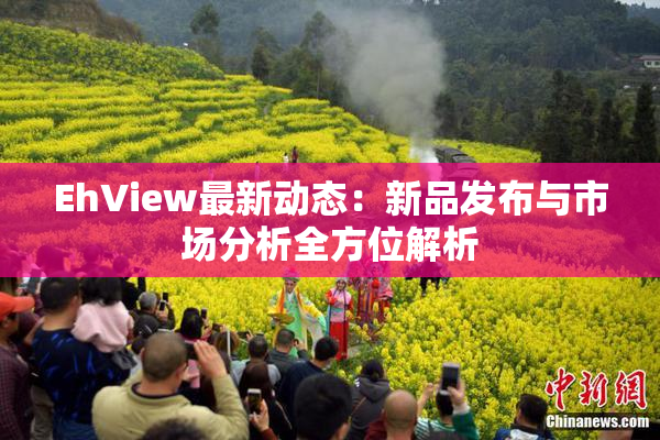 EhView最新动态：新品发布与市场分析全方位解析