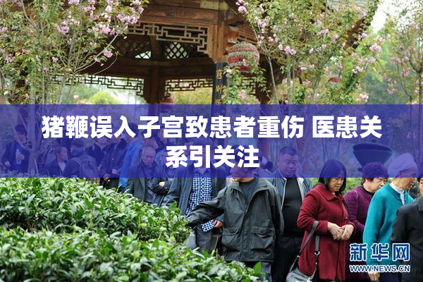 猪鞭误入子宫致患者重伤 医患关系引关注