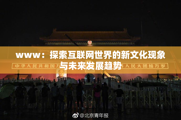 www：探索互联网世界的新文化现象与未来发展趋势