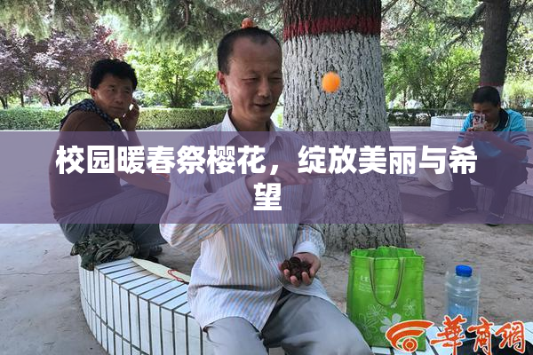 校园暖春祭樱花，绽放美丽与希望