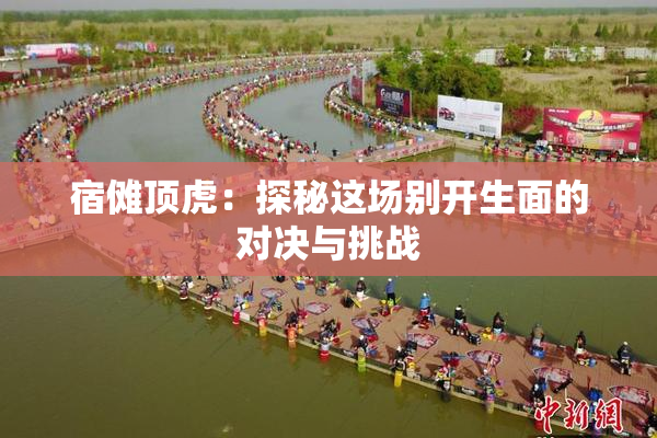 宿傩顶虎：探秘这场别开生面的对决与挑战