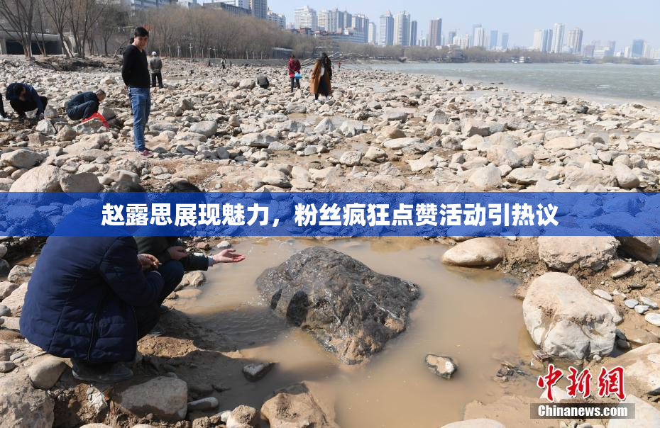 赵露思展现魅力，粉丝疯狂点赞活动引热议