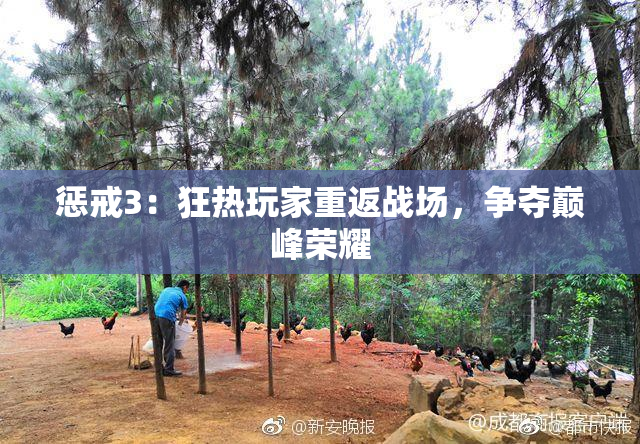 惩戒3：狂热玩家重返战场，争夺巅峰荣耀