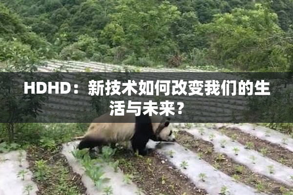 HDHD：新技术如何改变我们的生活与未来？