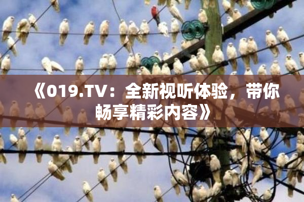 《019.TV：全新视听体验，带你畅享精彩内容》