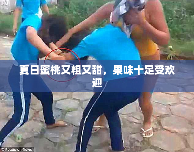 夏日蜜桃又粗又甜，果味十足受欢迎