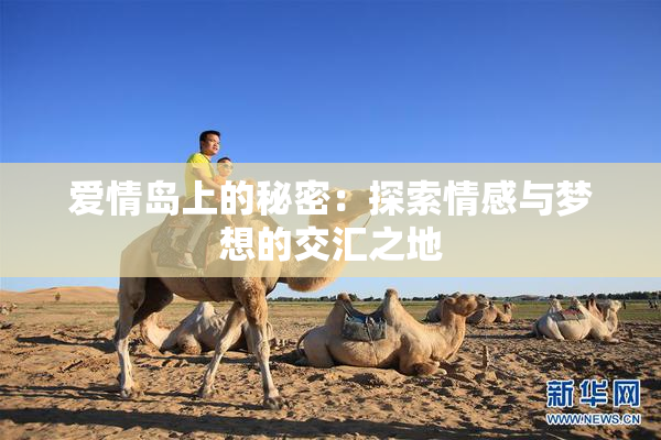 爱情岛上的秘密：探索情感与梦想的交汇之地