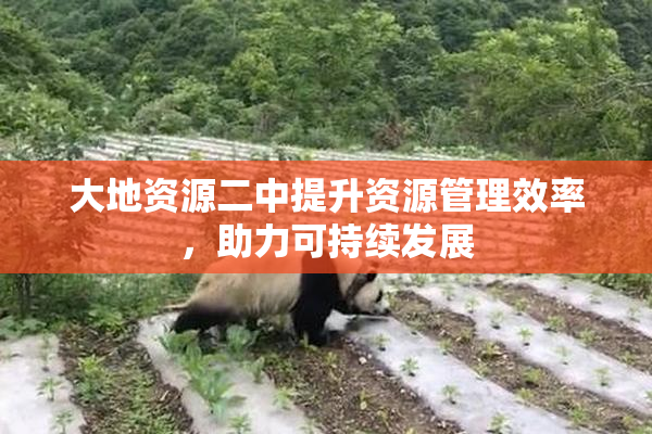大地资源二中提升资源管理效率，助力可持续发展
