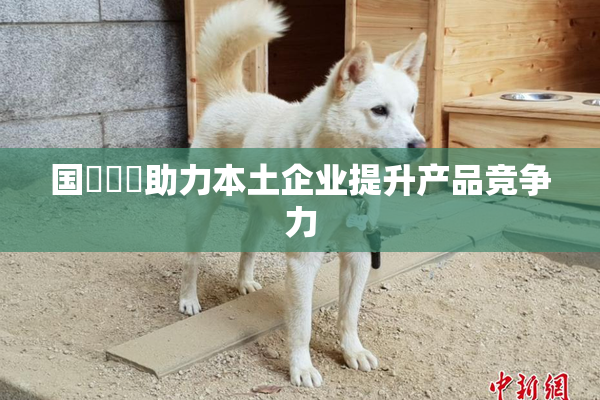 国產梱綁助力本土企业提升产品竞争力