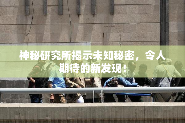 神秘研究所揭示未知秘密，令人期待的新发现！